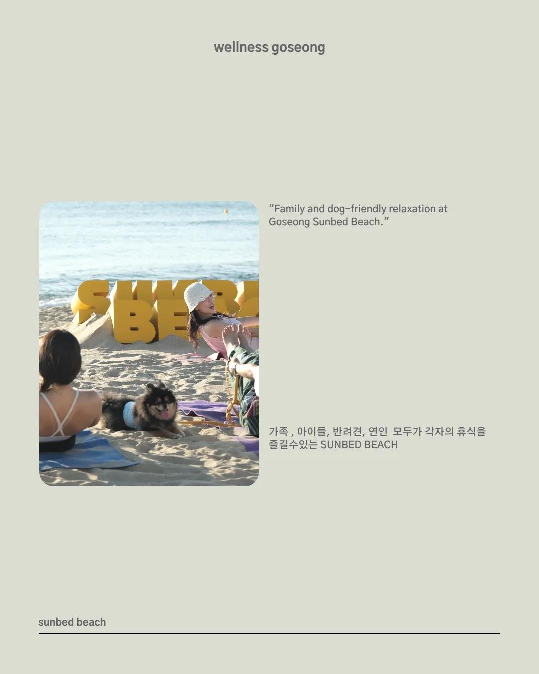 반려동물 동반 프라이빗 해변 - 썬베드비치
